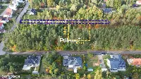 Działka 16 arów | Ostrowiec Św. | Las Rzeczki — zdjęcie 1