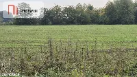 Działki  4 km od plaży, Będzino, w otoczeniu lasów — zdjęcie 4