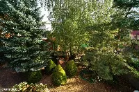 *Atrakcyjny dom w Wasilkowie 6 pokoi* — zdjęcie 19
