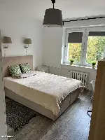 Mieszkanie — Wrocław, Stare Miasto — zdjęcie 5