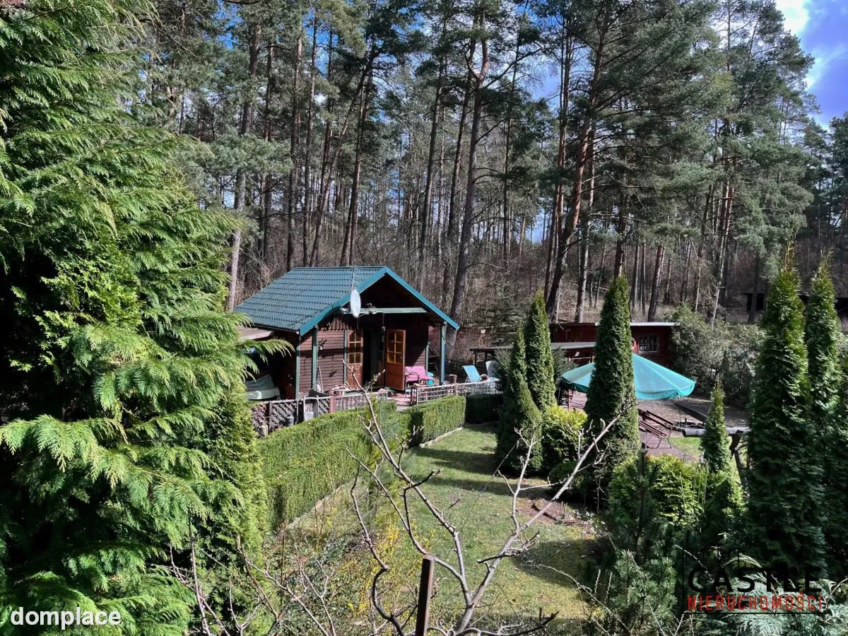 Borkowo | 4 pokoje | Las tuż za furtką — zdjęcie 11