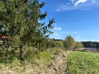 Wyjątkowa działka pod budowę domu nad jeziorem! — zdjęcie 5